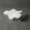 Butterfly Cervical Pillow